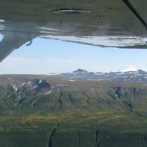 beluga air from plane