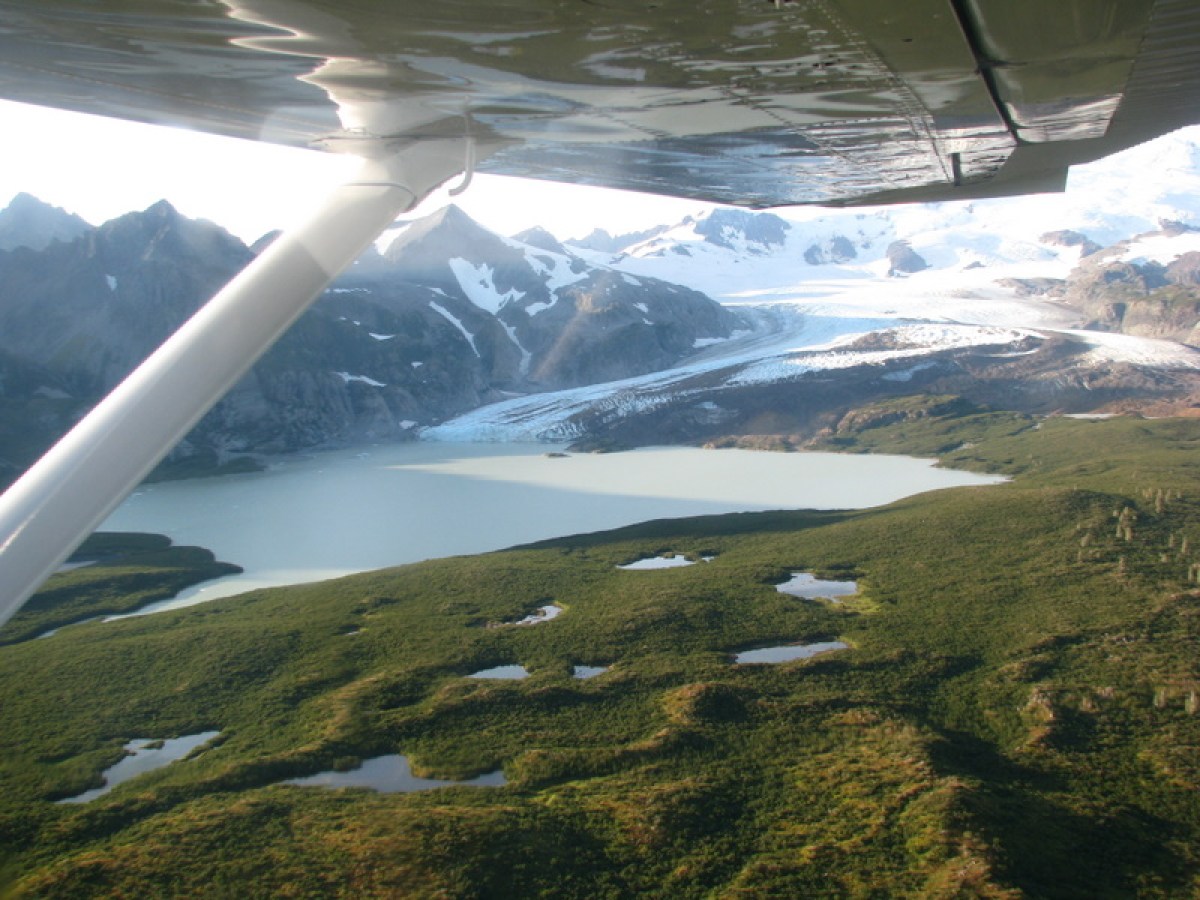 glacier from the air