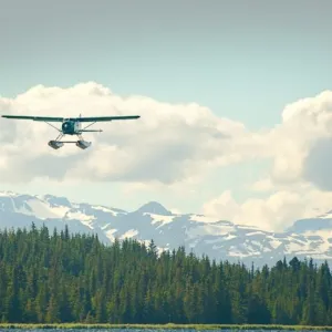 beaver air plane landing