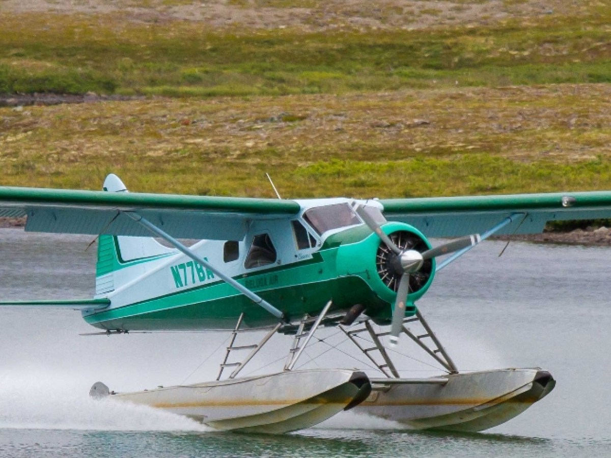 beaver air airplane landing on water
