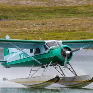 beaver air airplane landing on water