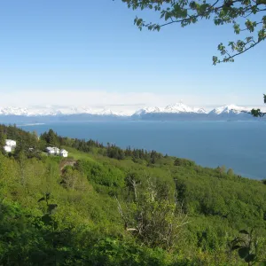 Homer Alaska overlooking bay