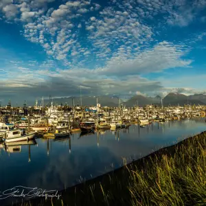 Boats at bay in homer