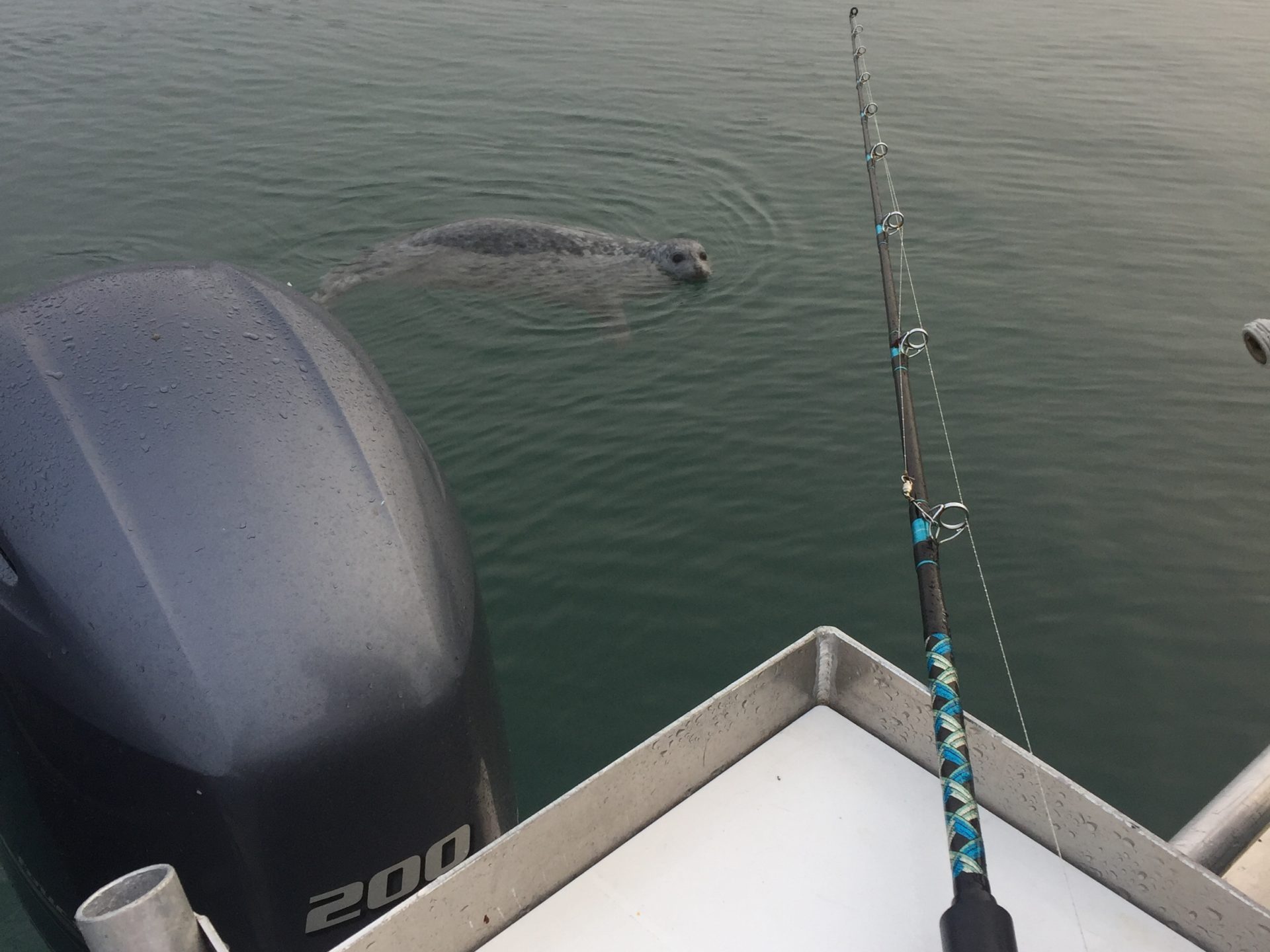 a small boat in a body of water