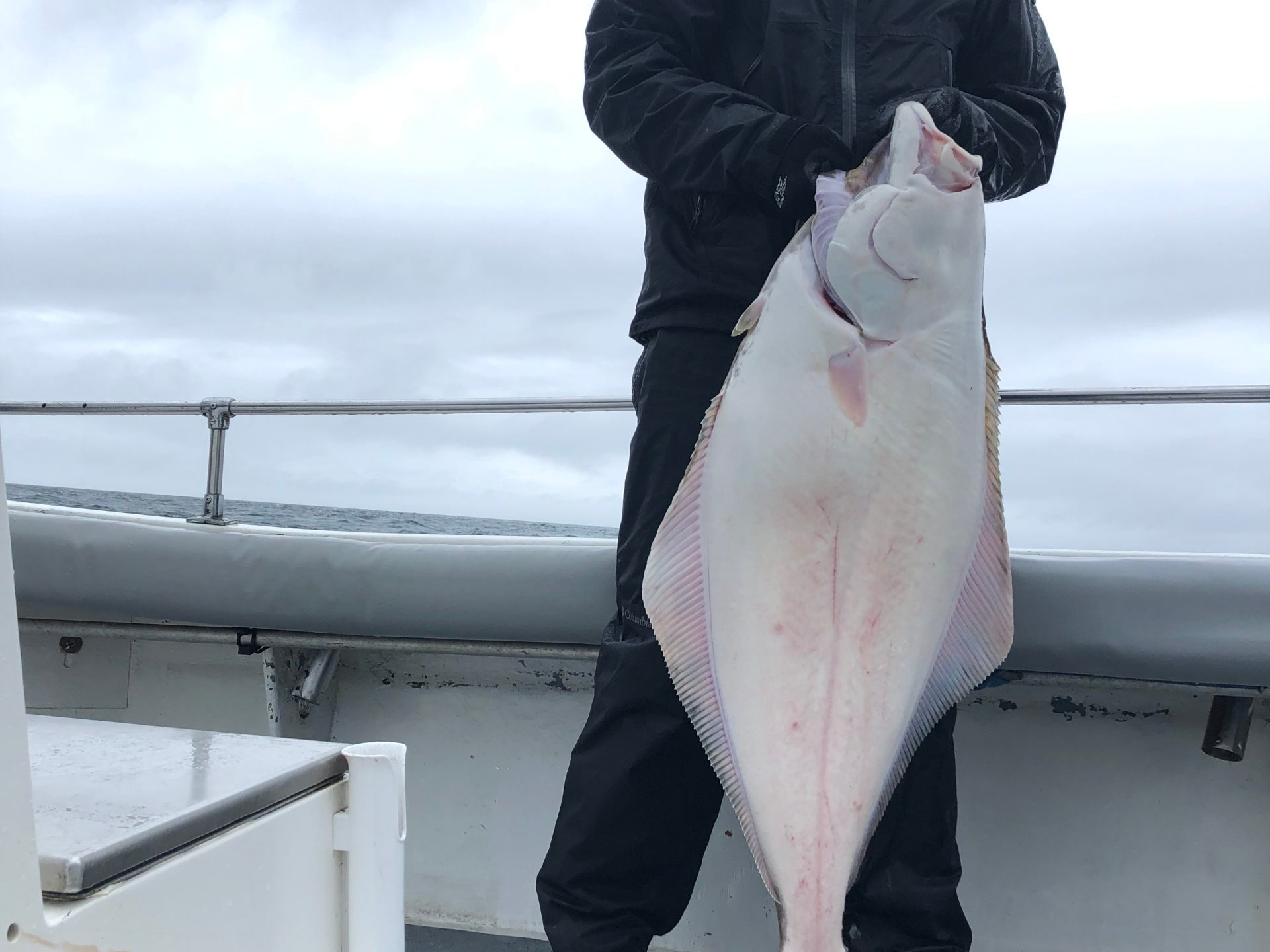 a person holding a fish