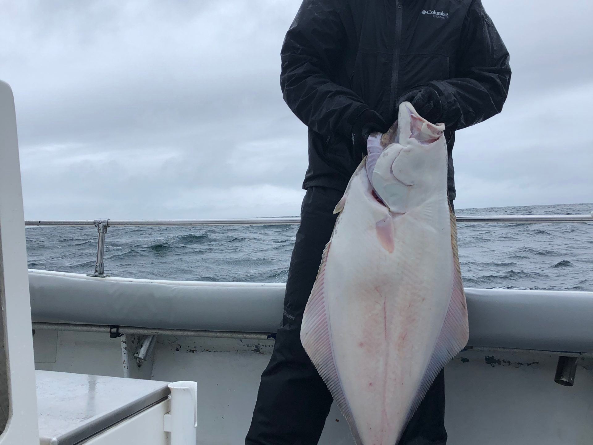a person holding a fish in the water