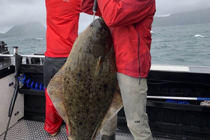 a person holding a fish