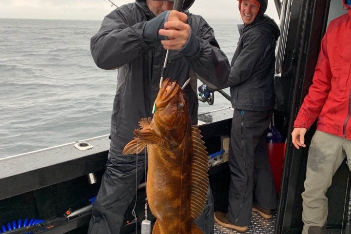 a person holding a fish in the water