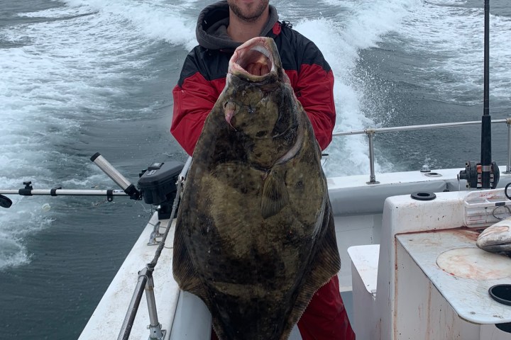 a person holding a fish on a boat in the water