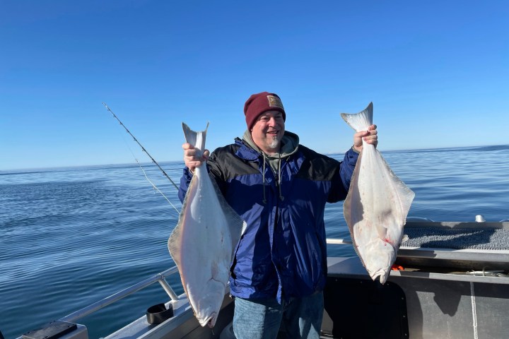 a person holding a fish in the water