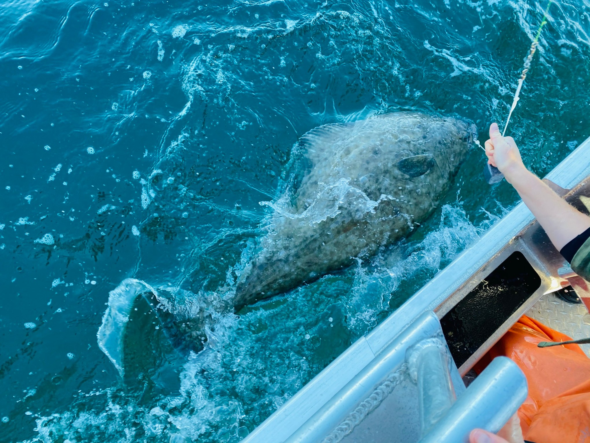 a person swimming in the water