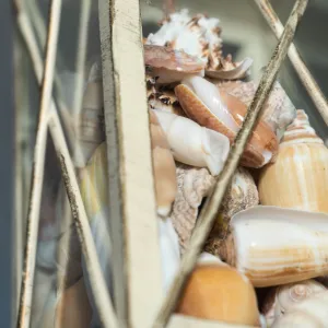 a close up of a fruit stand