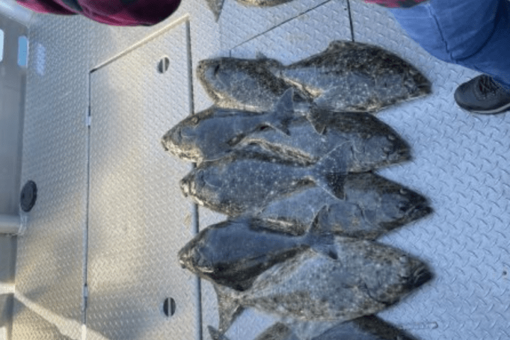 a close up of food on a blanket