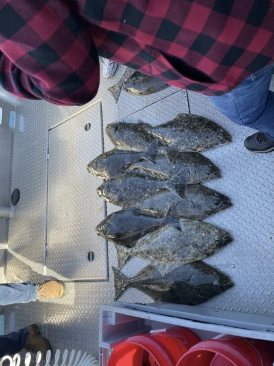 a close up of food on a blanket